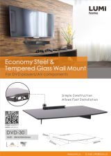 DVD-30 Economy Steel & Tempered Glass Wall Mount