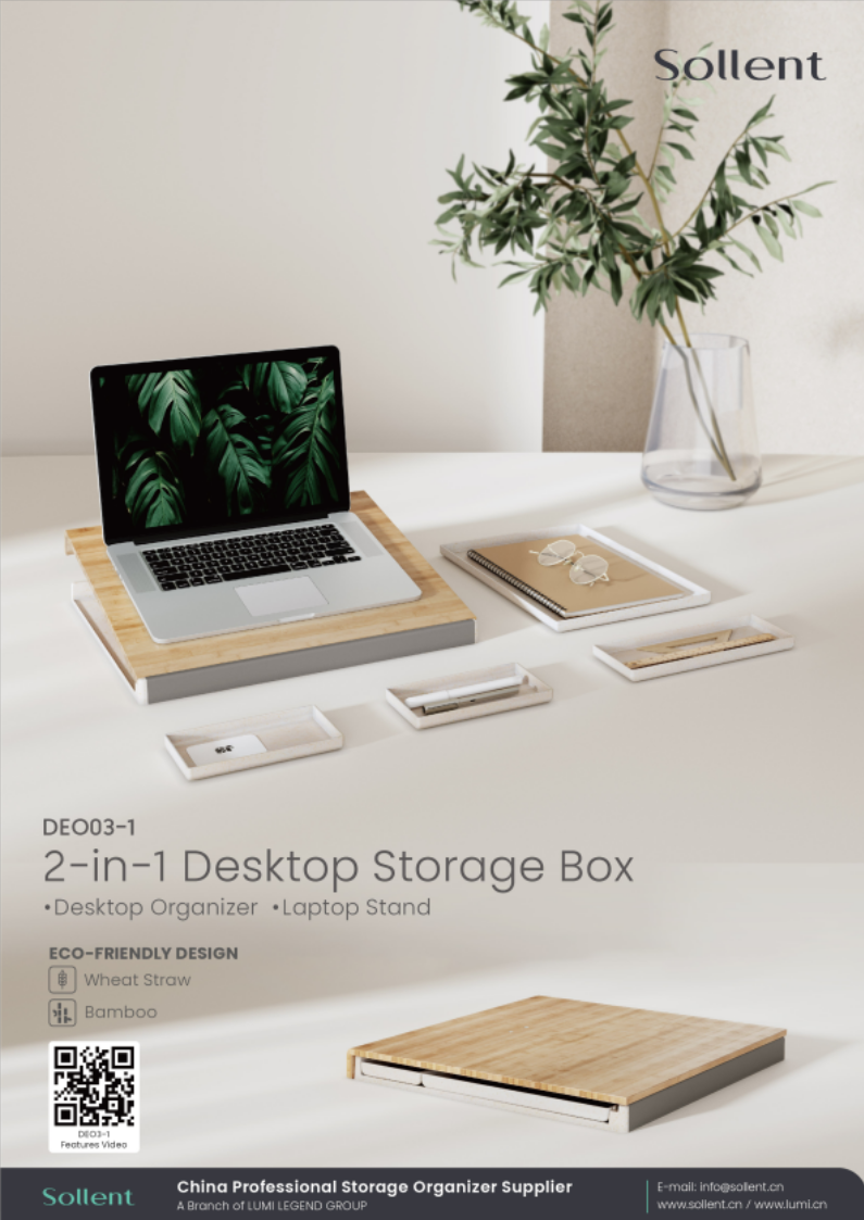 DEO03-1 2-in-1 Desktop Storage Box