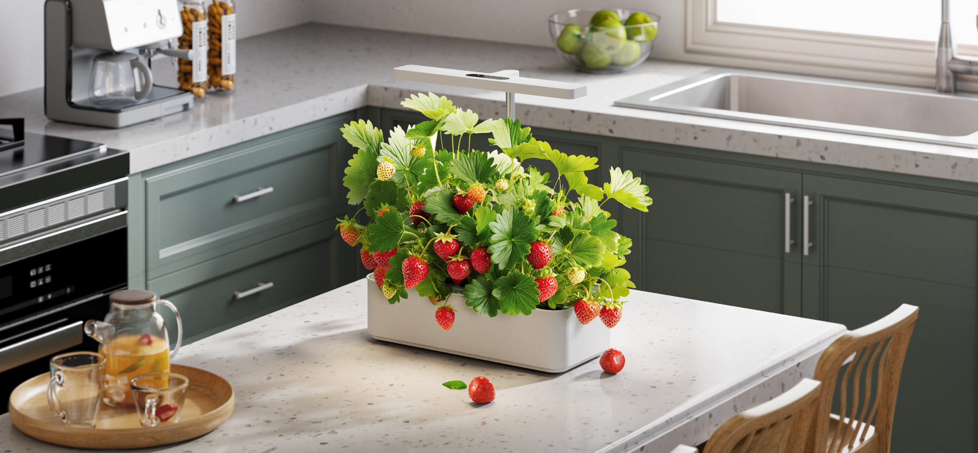 Vigor Smart Indoor Gardening System