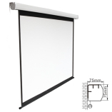 Standard Electric Projection Screen-96’’ /1:1