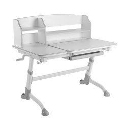 Large Storage Height Adjustable Children Desk (1190x730mm/46.9"x28.7")