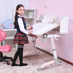 Large Storage Height Adjustable Children Desk (1190x730mm/46.9"x28.7")