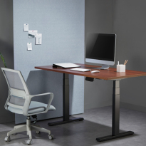 Compact Dual Motor Electric Sit-Stand Desk (Standard)