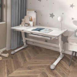 Adjustable Children Desk with Drawer (1200x600 mm/47.2"x23.6", Right Up)