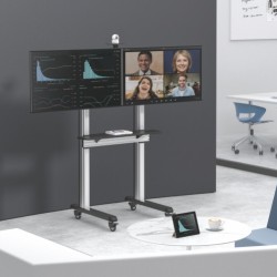 Dual Screen Video Conferencing TV Cart