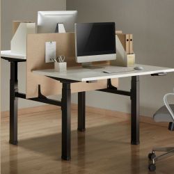 Contemporary 2-Stage Quad-Motor Back-to-Back Sit-Stand Desk (Standard)