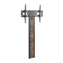 Industrial Style TV Mount with Column