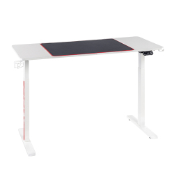 RGB Lighting Sit-Stand Gaming Desk with Creative Control Panel (Multi-Motor)