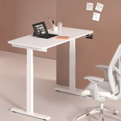 Economical Manual Sit-Stand Desk with 2-Piece Partitioned Table Top (1200×600mm)