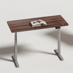 PowerSwift Brushless Dual-Motor Sit-Stand Desk (Standard)