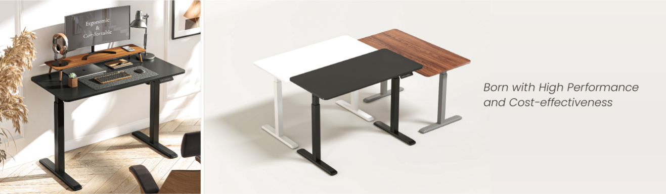 Affordable Single-Motor Sit-Stand Desks S03E Series