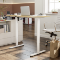 Standing Desks S16 Series 