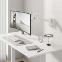 Monitor Arms LDT98 & LDA98 Series 