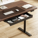 Standing Desks DA16 Series