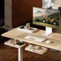 Standing Desks DA19 Series