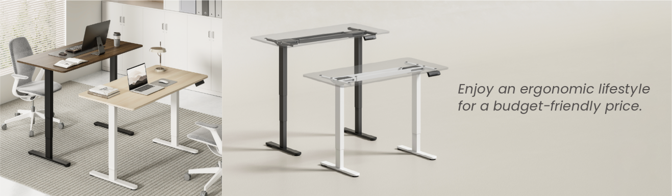 Cost-Effective Dual-Motor Sit-Stand Desks  M14 Series