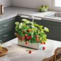 Trending Categories HGS05 Series