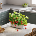 Trending Categories HGS05 Series