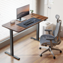 Standing Desks S22 Series