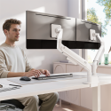 Monitor Arms LDT116 Series