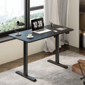 Standing Desks S24 Series
