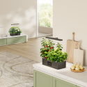 Trending Categories HGS11 Series