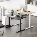 Standing Desks S25 Series