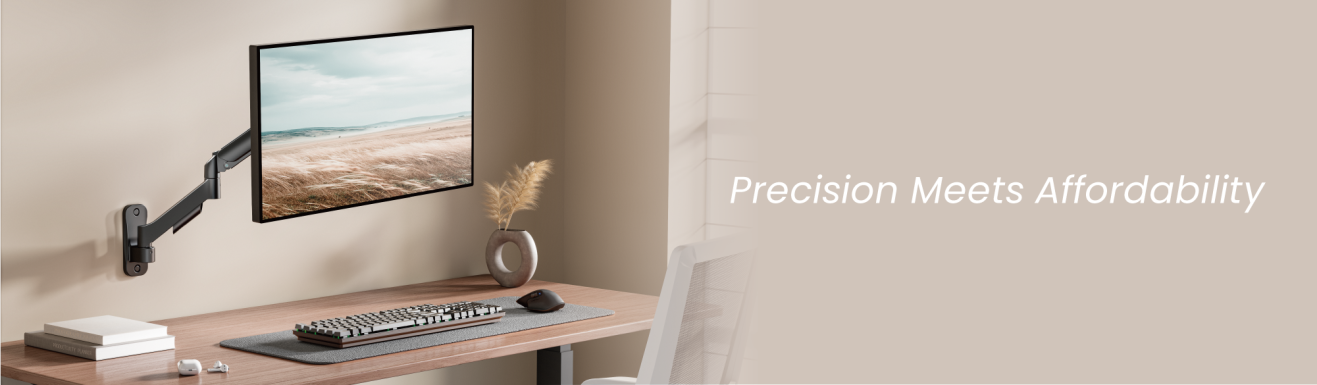  Super Economical Wall-Mounted Mechanical Spring Monitor Arms LDA97 Series