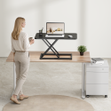 Standing Desks DWS38 Series