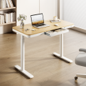 Standing Desks S18 Series