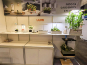 Hong Kong International Lighting Fair