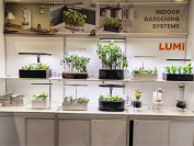 Hong Kong International Lighting Fair